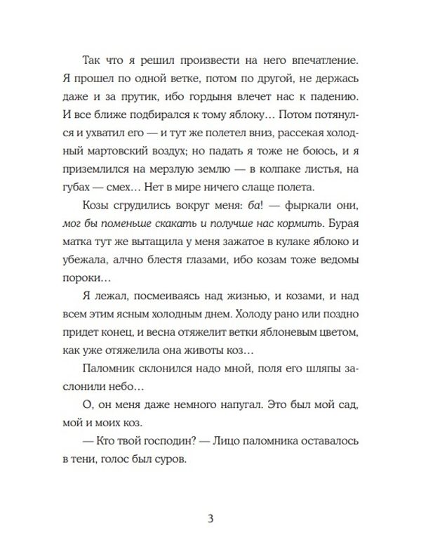 Мальчик и его книга