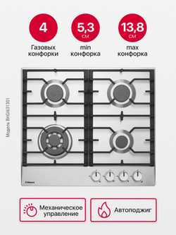 Газовая панель Hansa BHGI631301