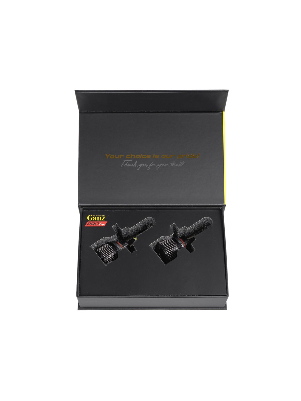 Лампа светодиодная 12/24V HIR2 55W 4000lm 6000K (LED) GANZ PRO-Line 2 шт. DUOBOX IP68 GIP06364