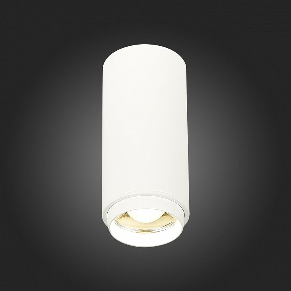 Накладной светильник ST-Luce Zoom ST600.542.10