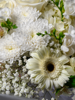 Символ чистоты *