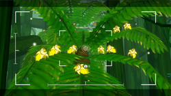 Beasts of Maravilla Island (для ПК, цифровой код доступа)