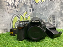 Nikon D3100 (24.000 кадров)