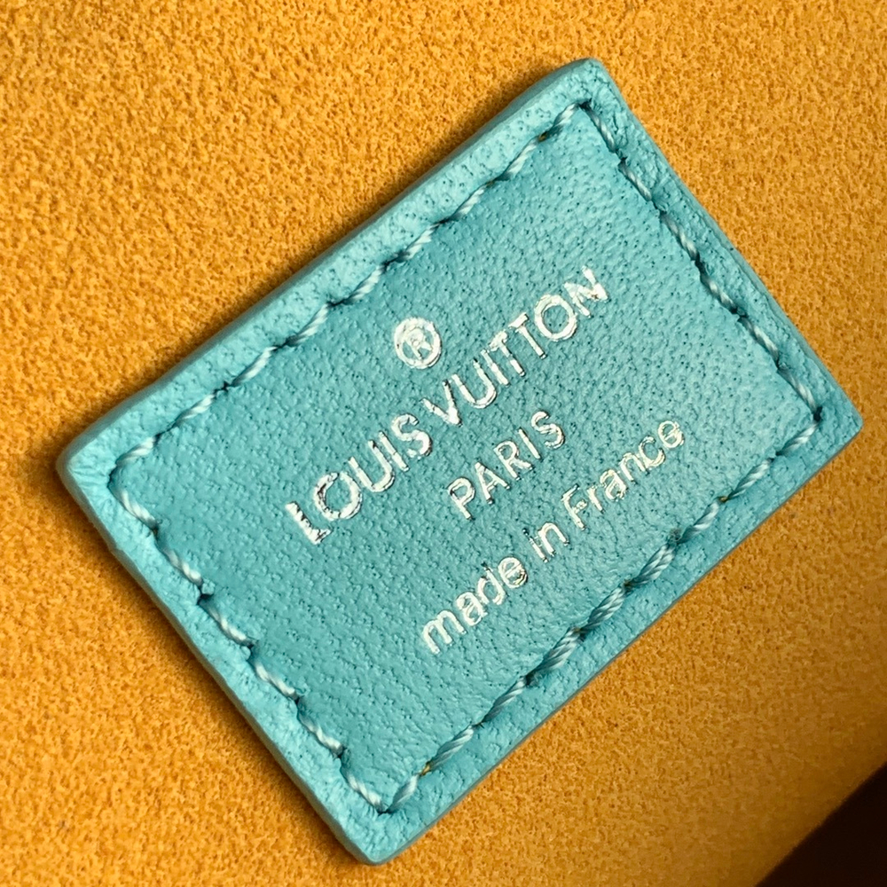 Louis Vuitton Coussin PM