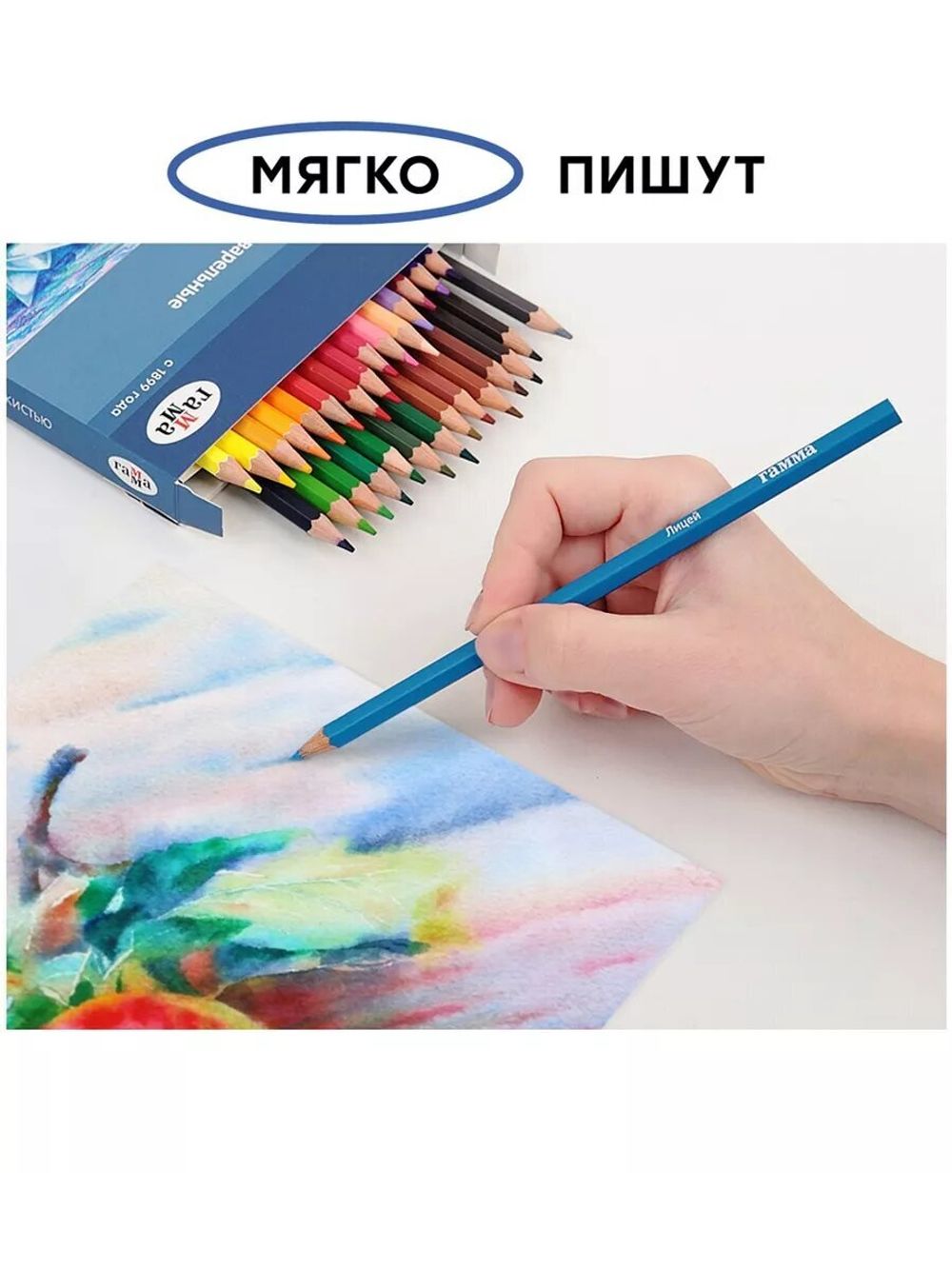 Карандаши акварельные ГАММА "Лицей", 36 цветов, заточенные, шестигранные, кисть, картонная упаковка, 221118_05