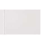 Альбом для рисования Апплика, формат А4, 24 листа, офсет, на гребне, серия "Маки"