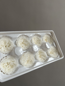 Роза пиновидная белая d=4-5 см (упак 8 шт)