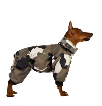 &nbsp; &nbsp; &nbsp; &nbsp; &nbsp; &nbsp; Зима
