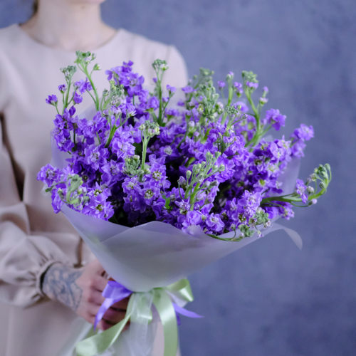 Купить Букет из сиреневой маттиолы #496