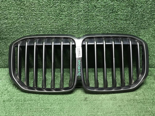 Решетка радиатора BMW X7 G07 (2019-2022)