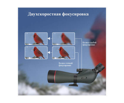 Зрительная труба SVBONY SV406P 20–60x80 ED WP - фото 8