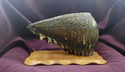 Зуб мамонта