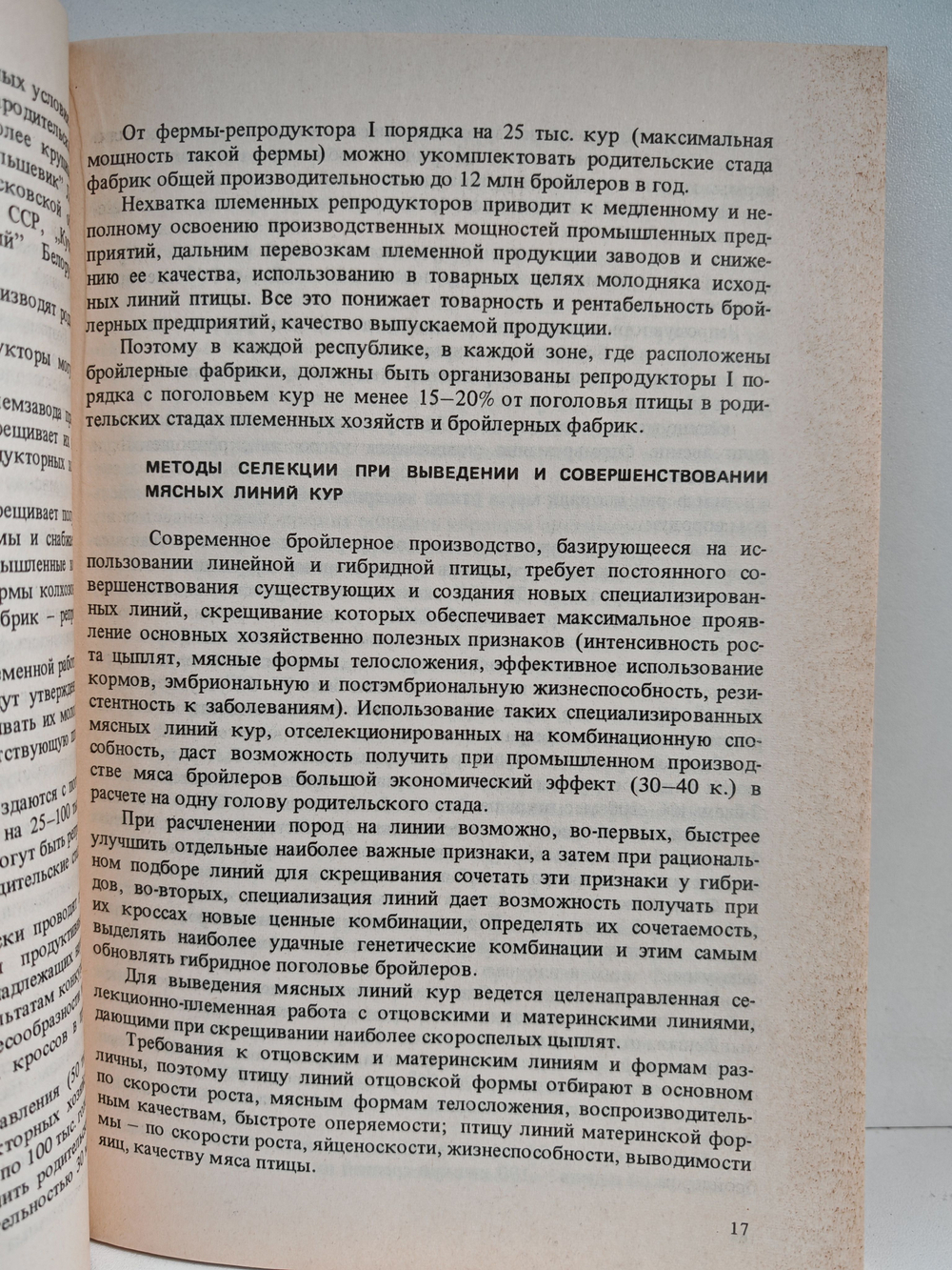 Производство бройлеров