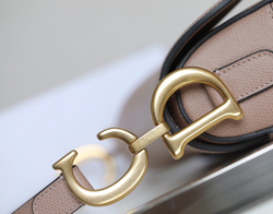 Christian Dior Saddle Bag 25 cm