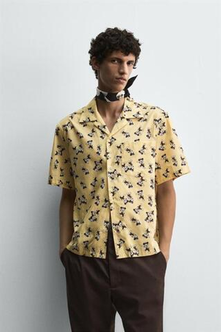 ZARA HARRY LAMBERT X DISNEY РУБАШКА MORTY + FERDY, ЦВЕТ СЛИВОЧНОГО МАСЛА