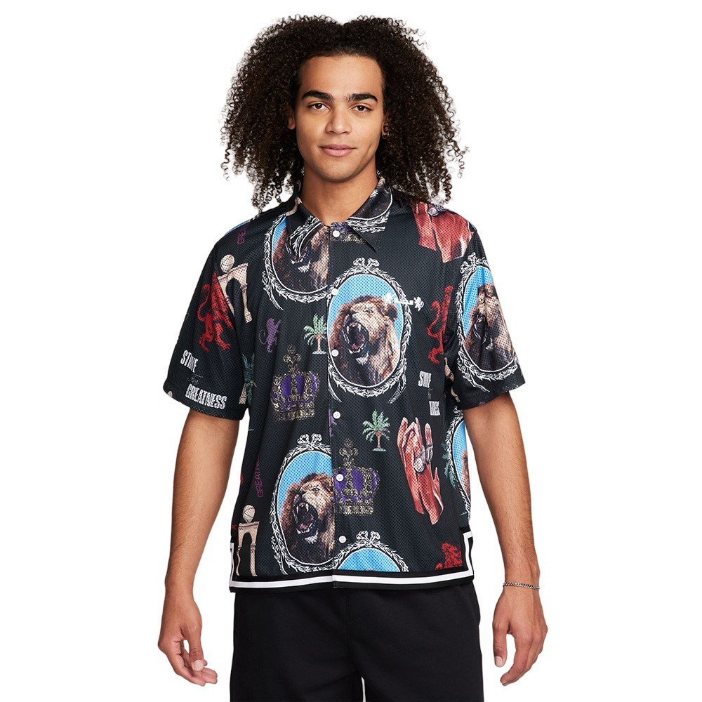Футболка Nike LeBron Multicolor T-shirt
