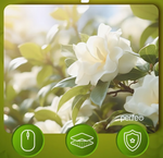 Perfeo Коврик для компьютерной мыши "Цветы", Рис.4 (240*200*2 мм), ткань+резиновое основание