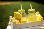 Фотозона "Lemon Party"