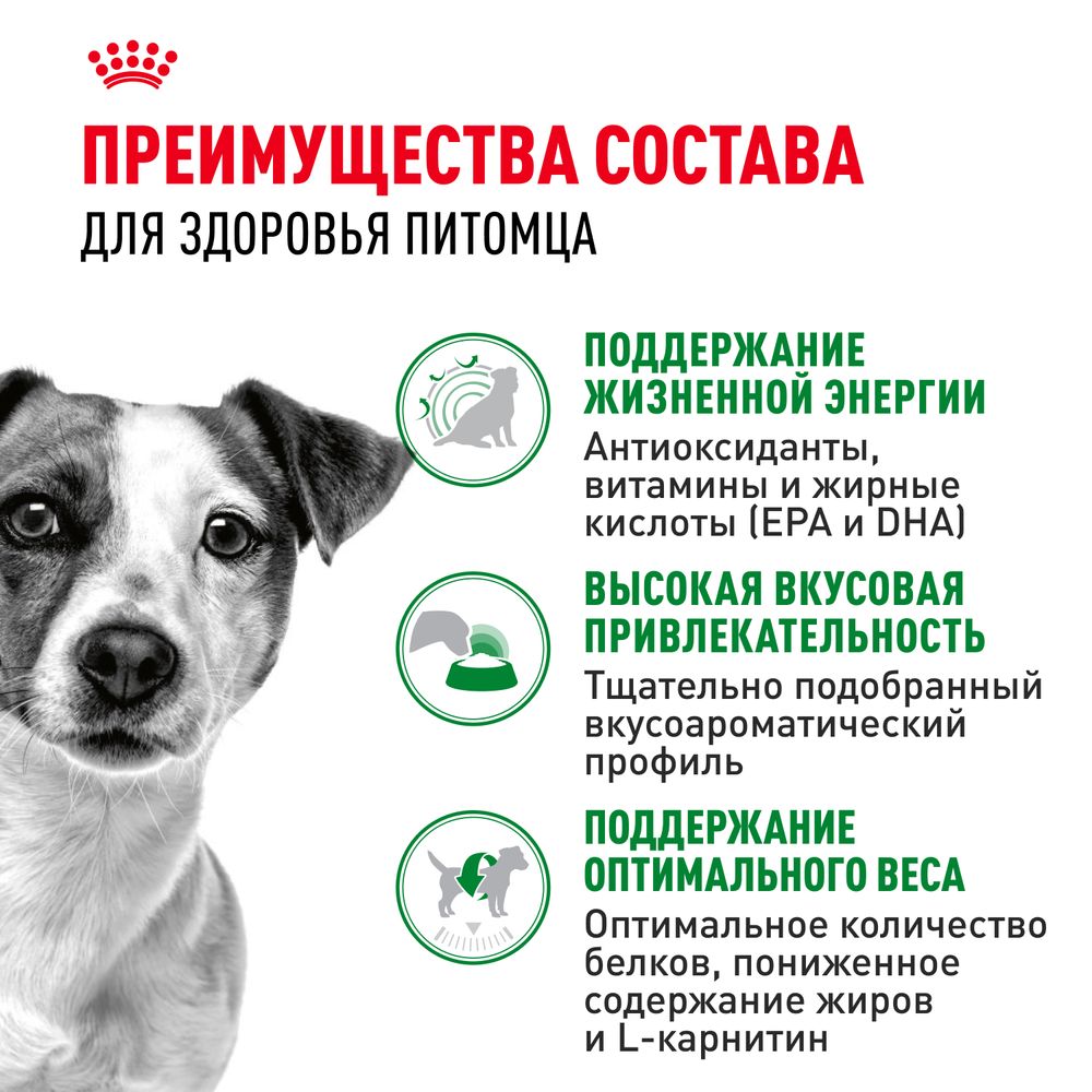 Сухой корм Royal Canin Mini Adult 8+ для взрослых собак небольших размеров (до 10 кг) старше 8 лет Сухой корм Royal Canin Mini Adult 8+ для взрослых собак небольших размеров (до 10 кг) старше 8 лет