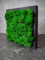 Панно из мха набор 3 шт.