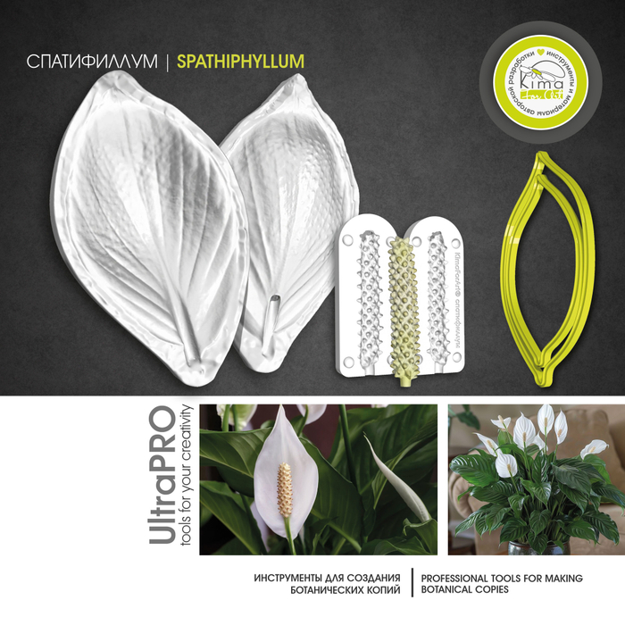 Спатифиллум | цветок