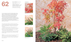 What Grows Together: Fail-Safe Plant Combinations for Every Garden