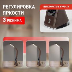 Настольный светильник ЭРА NLED-461-7W-BR светодиодный коричневый | Светодиодные настольные лампы
