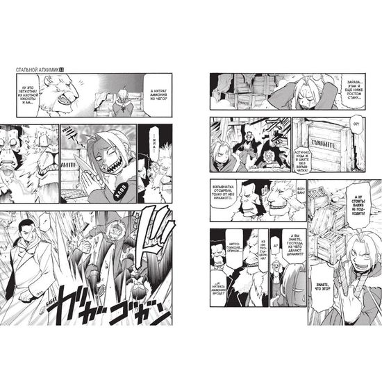 Манга Стальной Алхимик. Книга 13