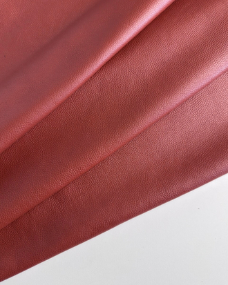 Рыжий флотер