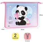 Папка для тетрадей 2 отделения А4 на молнии Спейс, рисунок на пластике, Sweet Panda