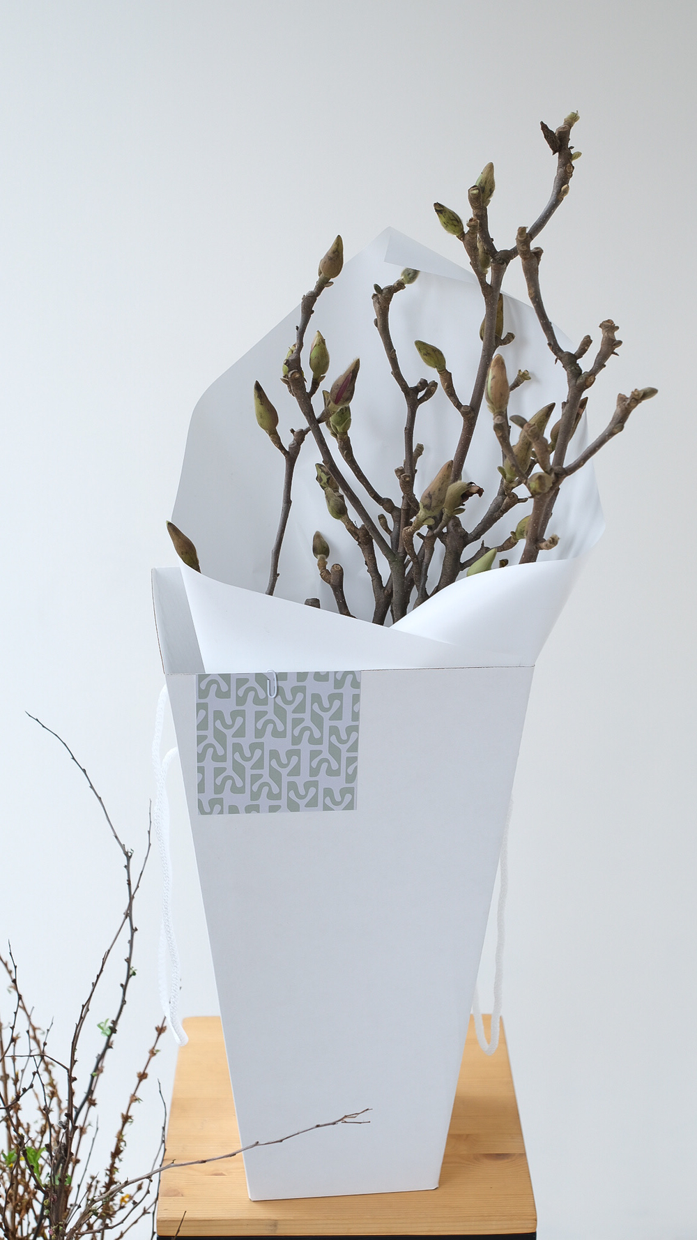 Ветки Магнолии