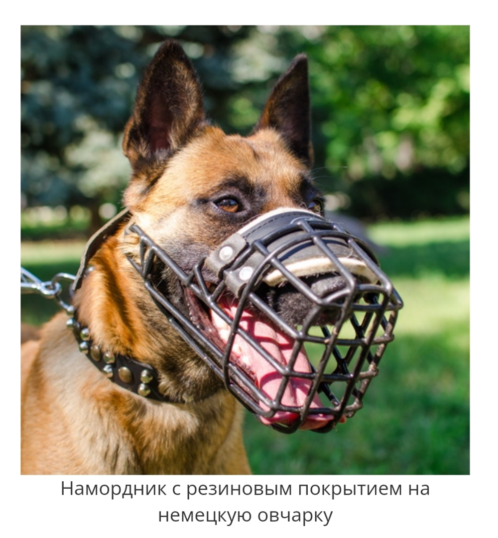 Намордник металлический обливной комфорт от Fordogtrainers