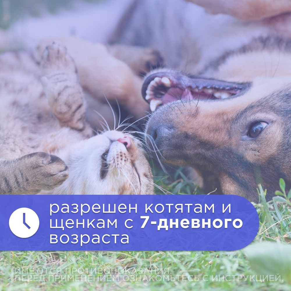 Капли глазные для животных "Бриллиантовые глаза".