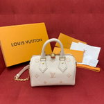 Louis Vuitton Speedy 20