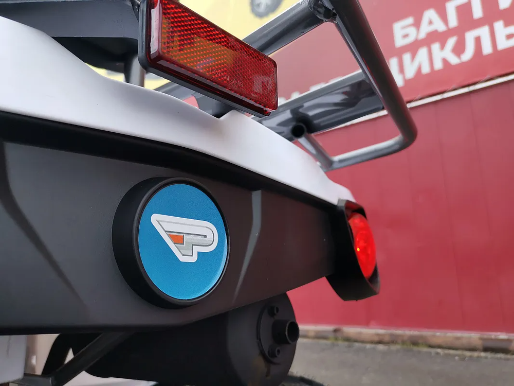 Квадроцикл PROMAX RENEGADE 280 (2025)