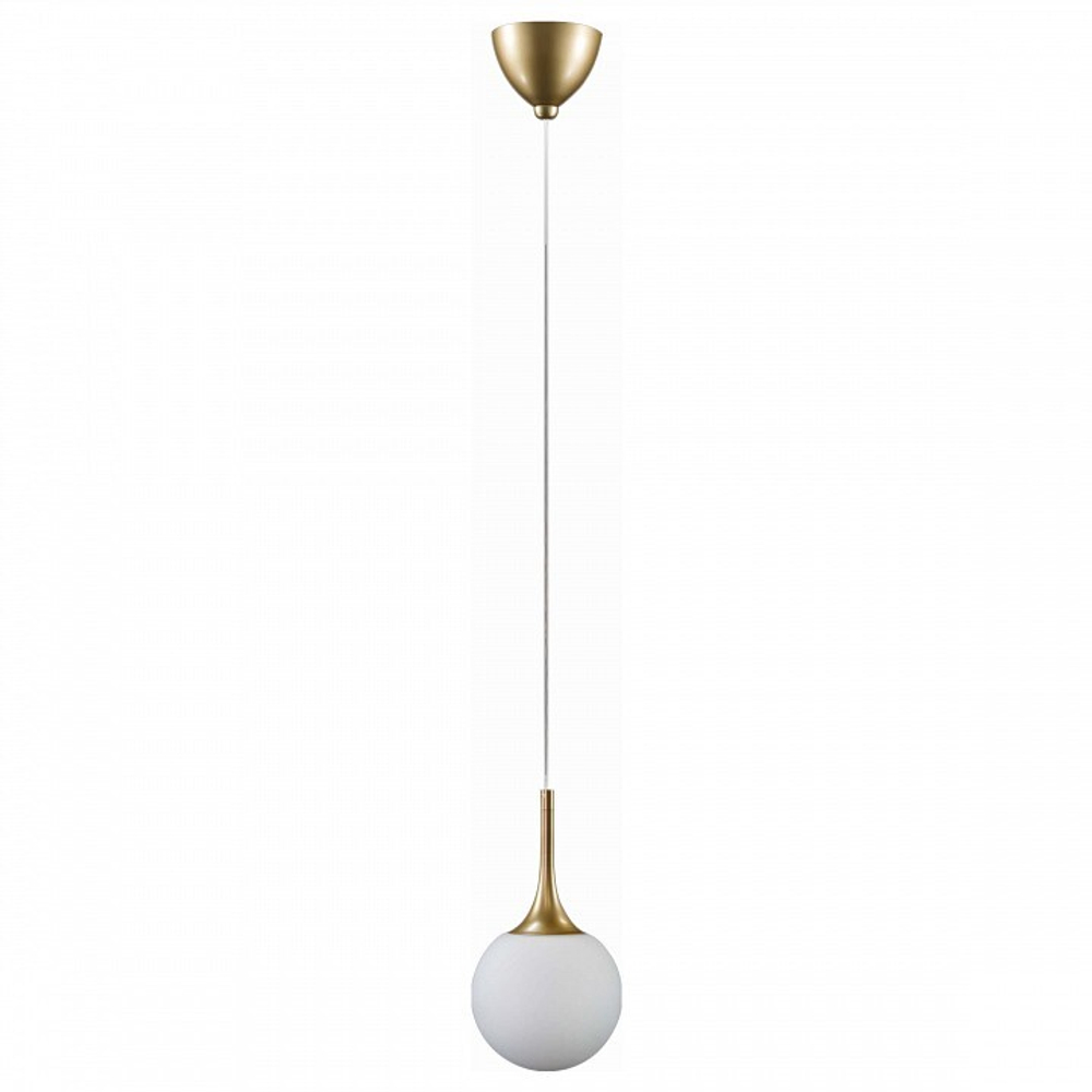 Подвесной светильник Lightstar Globo 813011