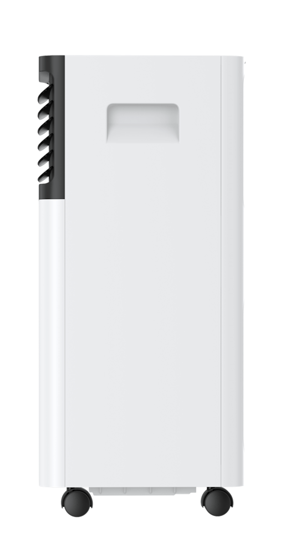 orchid-06_-1119699157.png