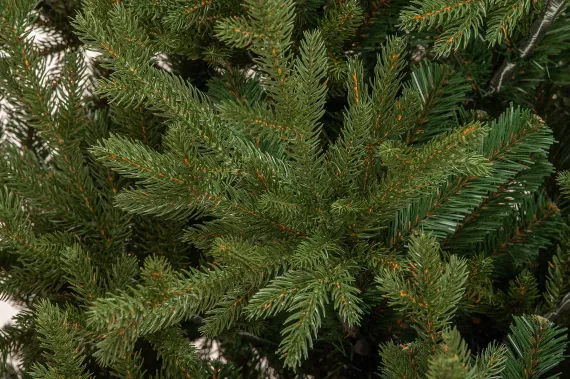 Искусственная елка Имперская 180 см., литая хвоя+пвх, ЕлкиТорг (144180)