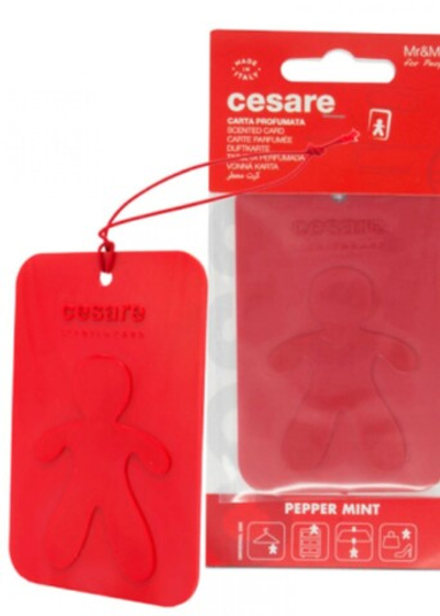 Mr&Mrs Fragrance Аромакарточка для автомобиля CESARE CARD красный PEPPERMINT Перечная мята