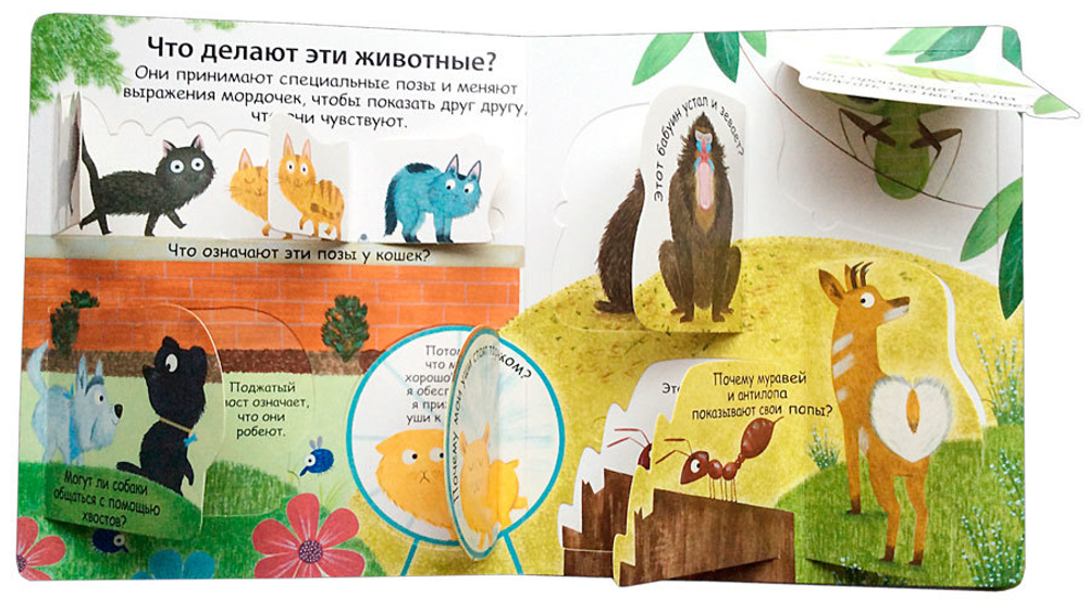 40 окошек. Что делать, чтобы быть здоровым