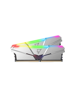 Оперативная память Netac Shadow RGB 32GB (2x16GB) DDR5-5600 (PC5-44800) C40 Silver 40-40-40-77 1.2V XMP Dual DIMM Kit