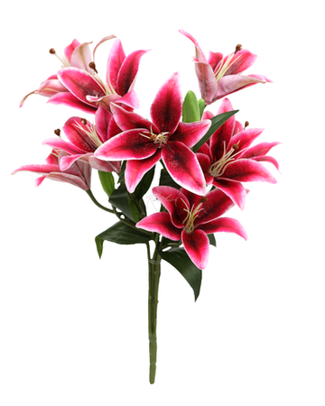 Куст с цветами лилии (9 бутонов) - Темная фуксия