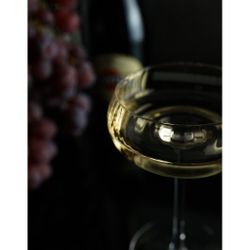 Рюмка коктейльная 270 мл Маргарита "  Optical" d 9 см h16,5 см оптические грани P.L. - BarWare [4]