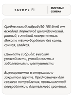 Семена свекла Таунус F1 цилиндрическая для посадки, 1 гр. семян (Vita Green / Вита Грин)