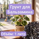 Авторский грунт для Бальзамина, 1 литр