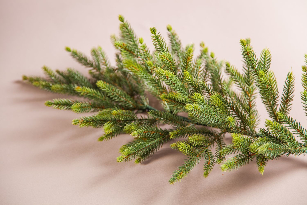 Ель Королевская Премиум 100% литая 155см зеленая Triumph Tree