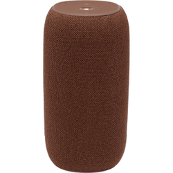 Умная колонка JBL Link Portable Brown