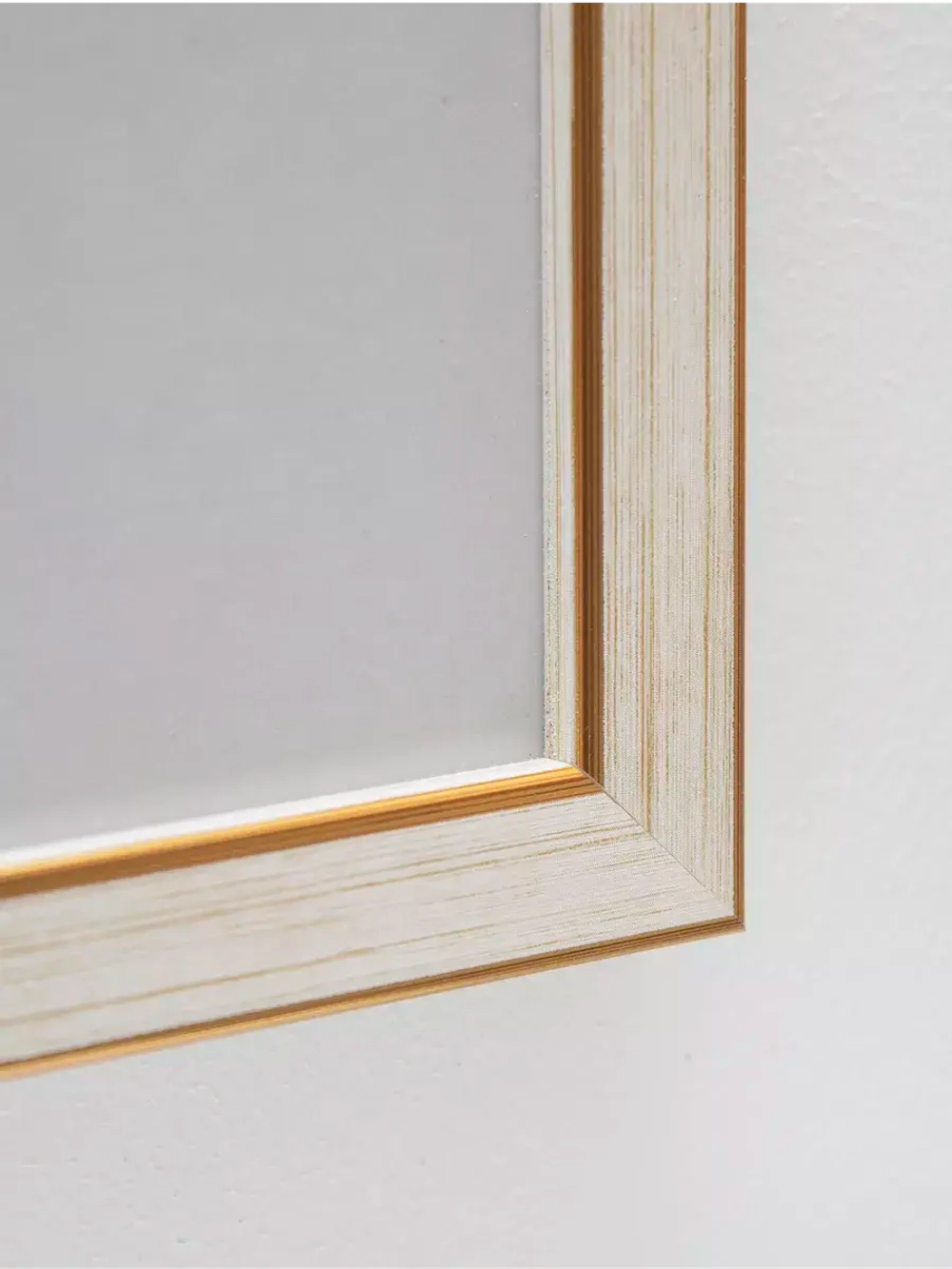 Постер настенный в багетной раме "Ботаника" 42*32 см