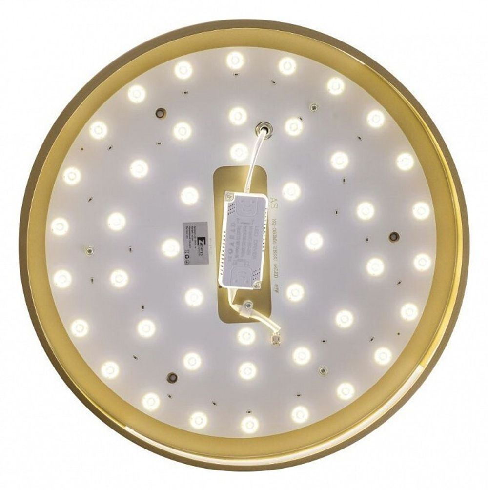 Накладной светильник Zortes Gabby ZRS.90610.40