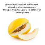 Дыня, кубики восковые для ароматизации, 10 штук